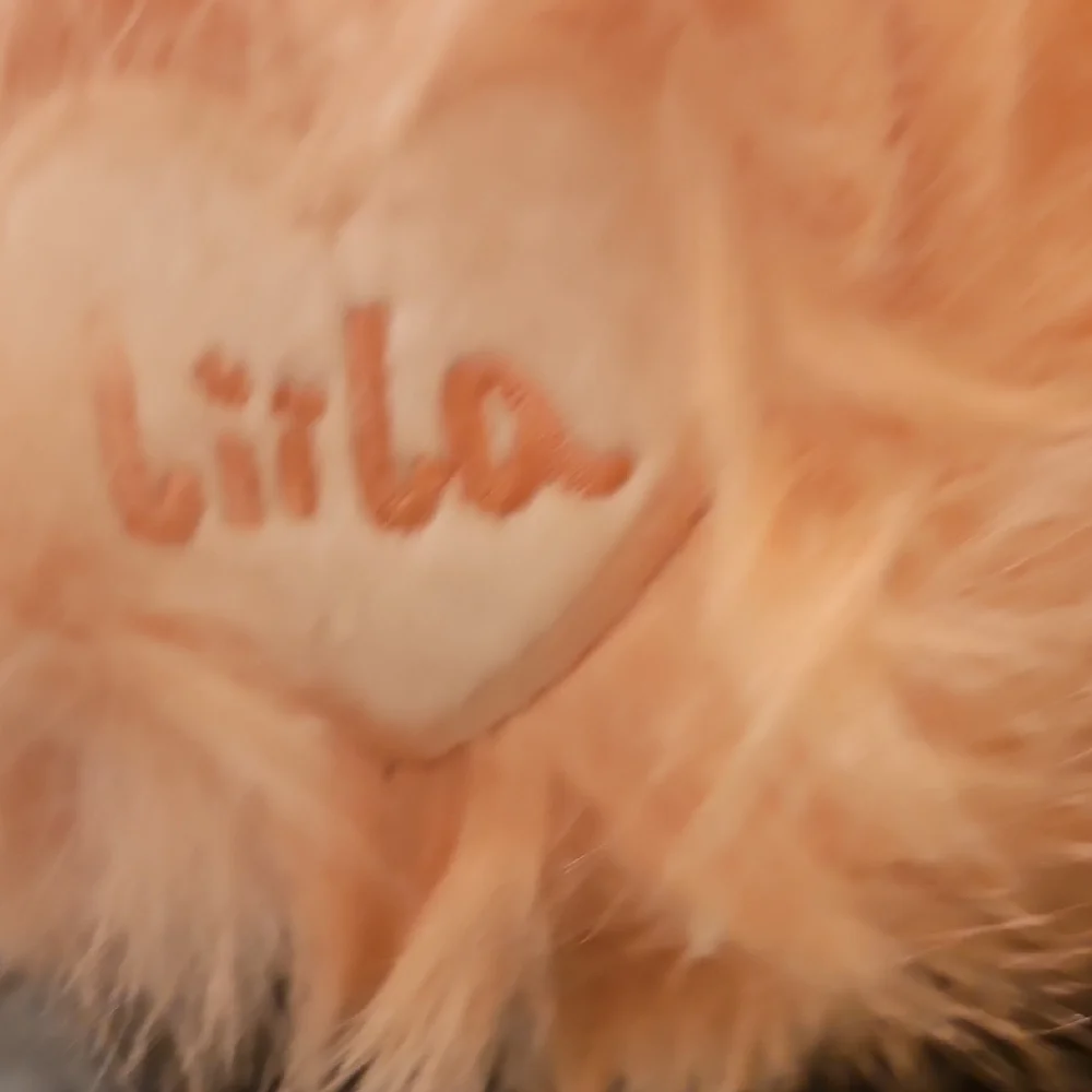 SECRET SECRET Cute Plush Doll with Apron - Picture 5 of 11